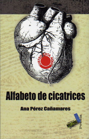 Afabeto de cicatrices